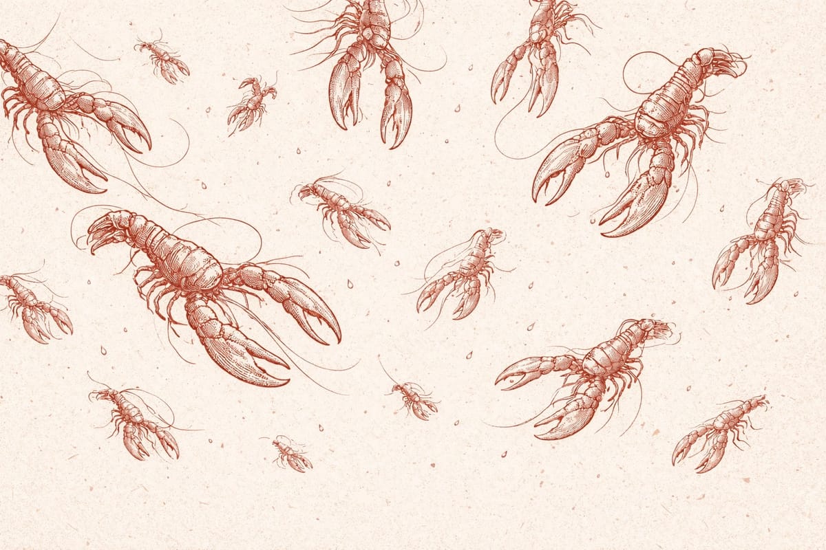 What I learned about AI agents while setting one up